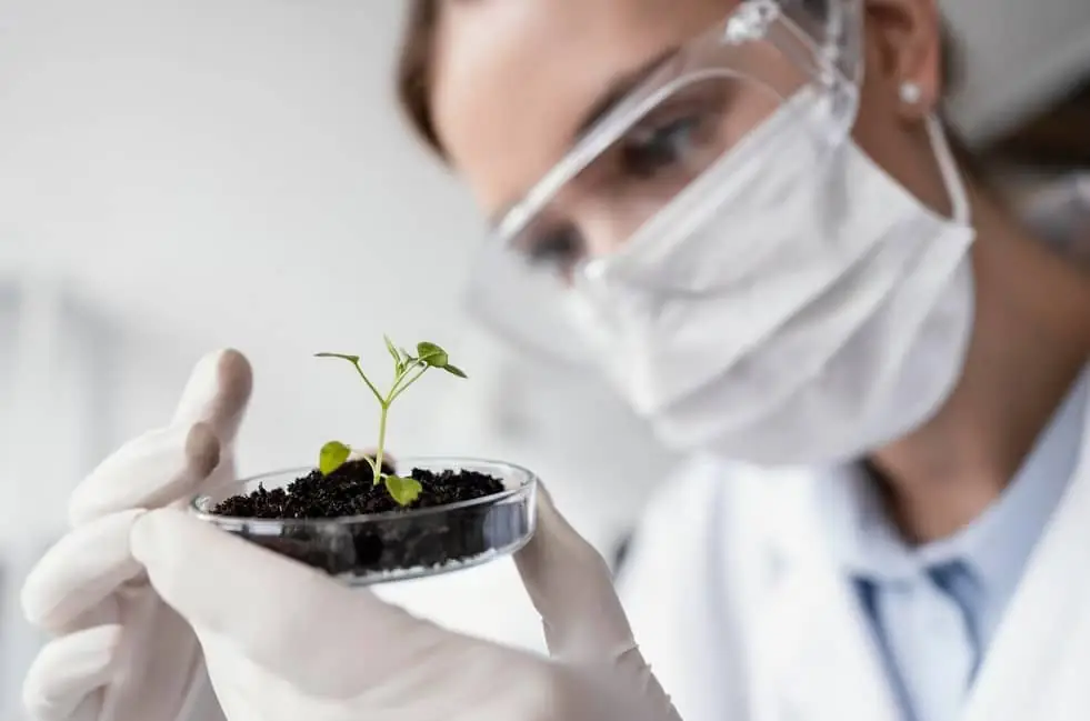 Habilidades Técnicas en Ciencias Ambientales: Navegando el Camino hacia la Sostenibilidad