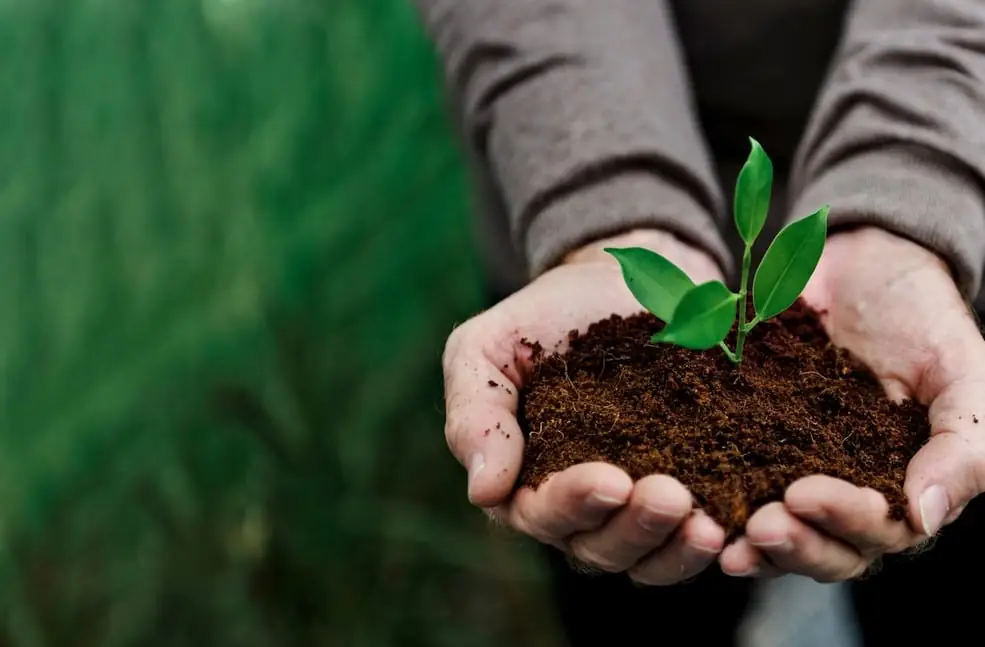 Carreras Técnicas en Agricultura Sostenible: Cultivando el Futuro de la Agricultura