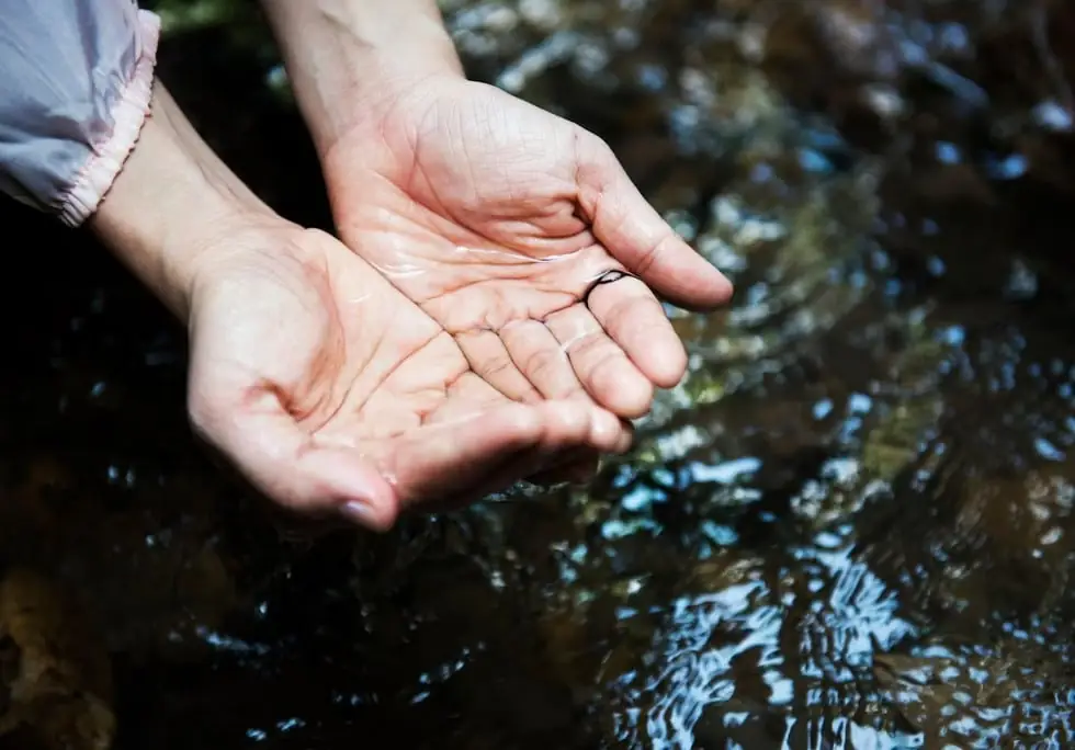 Habilidades Técnicas en Gestión de la Calidad del Agua: Protegiendo Nuestro Recurso Más Vital