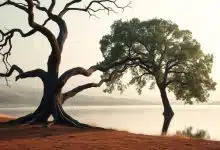 estrategia de inversión a largo plazo